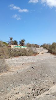 GC-Camello Safari (Maspalomas)-04.jpg